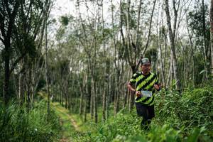 BIB: 
                            <button type="button" onclick="openModal(26293166)" class="btn btn-primary btn-sm float-right btn-popup" data-toggle="modal" data-target=".modal-high-quality">
                        <i class="fas fa-shopping-cart"></i> Add to Cart
                    </button>
                                            <button type="button" onclick="isThisMe(26293166, true)" class="btn btn-success btn-sm float-right btn-popup btn-isme hidden" data-toggle="tooltip" data-placement="bottom" title="นี่คือรูปของคุณใช่ไหม คลิกที่นี่เพื่อเอาเข้าอัลบั้ม">
                        <i class="fas fa-plus"></i> Add to album
                    </button>
                    <button type="button" onclick="isThisMe(26293166, false)" class="btn btn-warning btn-sm float-right btn-popup btn-isnotme hidden">
                        <i class="fas fa-ban"></i> Remove from album
                    </button>